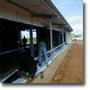 chicken shed window net